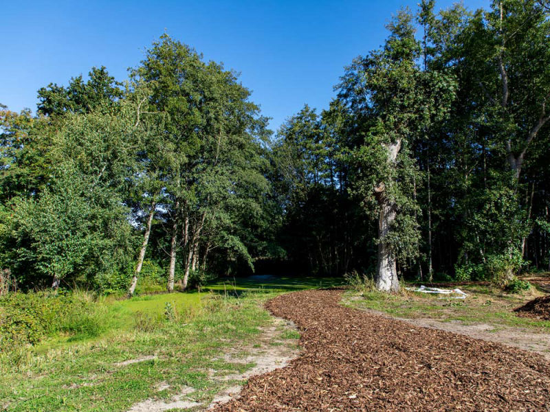 Gemulchte Wege am Picknick-Platz des Eichenhains